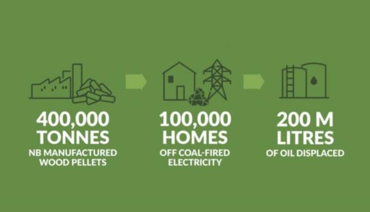 全球48%的木屑顆粒消費(fèi)來自住宅和商業(yè)建筑。從2020年到2021年，歐洲家庭生物質(zhì)消費(fèi)量增長(zhǎng)了18%，商業(yè)應(yīng)用增長(zhǎng)了12.5%。