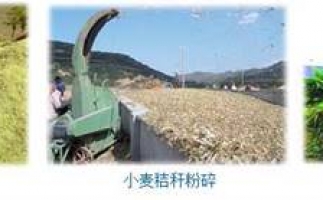 農(nóng)民科學(xué)發(fā)展新思路，秸稈綜合利用成為賺錢好門路之秸稈顆粒機(jī)