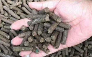 水果渣越來越受歡迎，因?yàn)樗某霈F(xiàn)—生物質(zhì)顆粒機(jī)設(shè)備