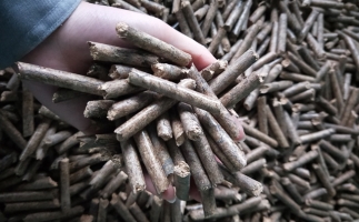 鋸末顆粒機(jī)顆粒，一種快速增長的能源載體