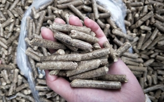鋸末顆粒機(jī)木屑顆粒燃料市場前景如何？