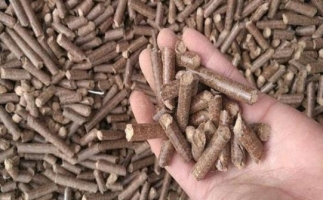 鋸末顆粒機(jī)生物質(zhì)燃料與燃煤對比情況如何？