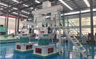 木屑顆粒機多少錢一臺?建顆粒廠大約多少錢？