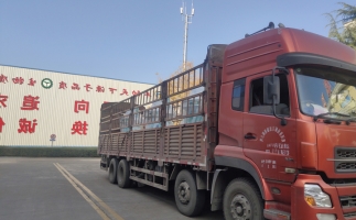 忙碌的五月，忙碌的發(fā)貨，金格瑞顆粒機(jī)生產(chǎn)線發(fā)往全國(guó)各地