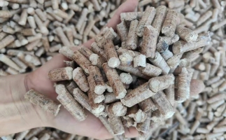 木材加工廠木屑堆積如山，環(huán)保部門(mén)令趕緊處理怎么辦？有它就夠了