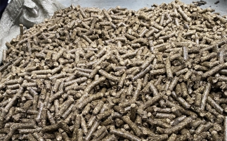 鋸末顆粒機(jī)的顆粒燃料比煤炭貴，為什么還有那么多人用？