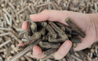 煤炭熱值那么高，為什么還要燒鋸末顆粒機(jī)的生物質(zhì)顆粒燃料？